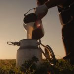 Farmer,pours,milk,into,can,at,sunset,,in,the,background