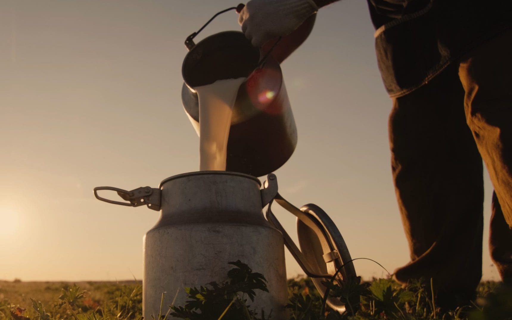 Farmer,pours,milk,into,can,at,sunset,,in,the,background