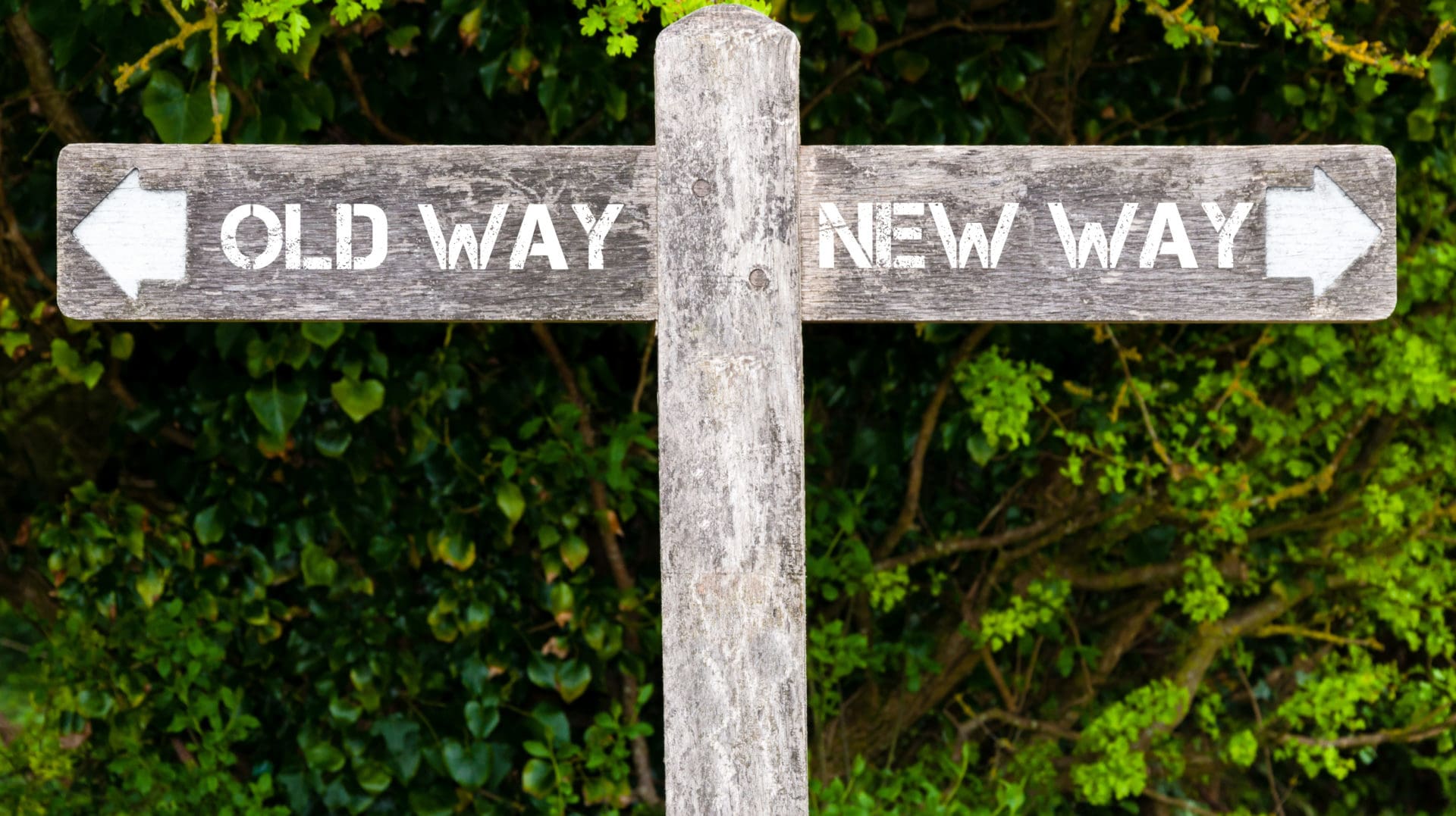 Wooden,signpost,with,two,opposite,arrows,over,green,leaves,background