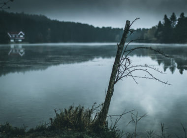 View,of,a,dark,moody,sky,at,golcuk,nature,park