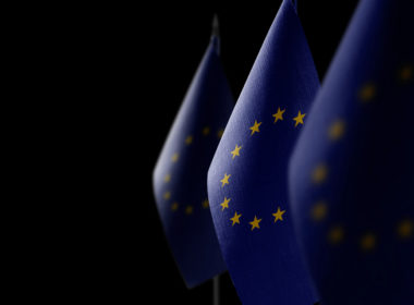 Small,national,flags,of,the,european,union,on,a,dark