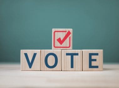 A,wooden,block,with,the,letters,vote,and,a,check