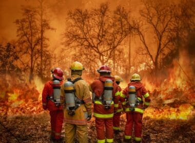 Firefighters,team,battle,a,wildfire,because,climate,change,and,global
