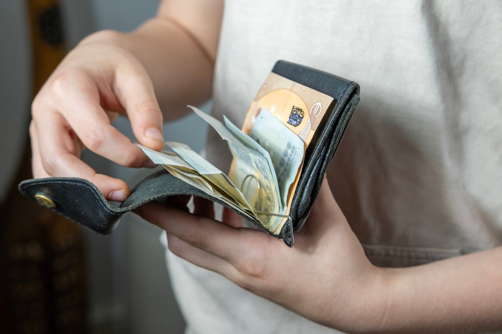 Child,holding,wallet,,takes,out,euro,,theft,money,,managing,pocket