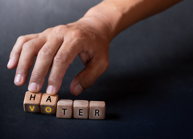 Hand,holding,dice,with,text,for,illustration,of,"voter,and
