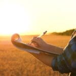 Farmer,writing,notes,in,notebook,against,golden,wheat,field ,close up
