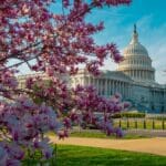 Capitol,democracy,in,usa,washington,dc,,capitol,building,usa ,supreme