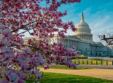 Capitol,democracy,in,usa,washington,dc,,capitol,building,usa ,supreme