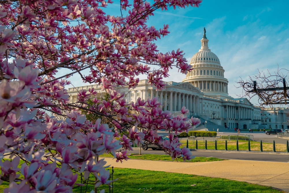 Capitol,democracy,in,usa,washington,dc,,capitol,building,usa ,supreme